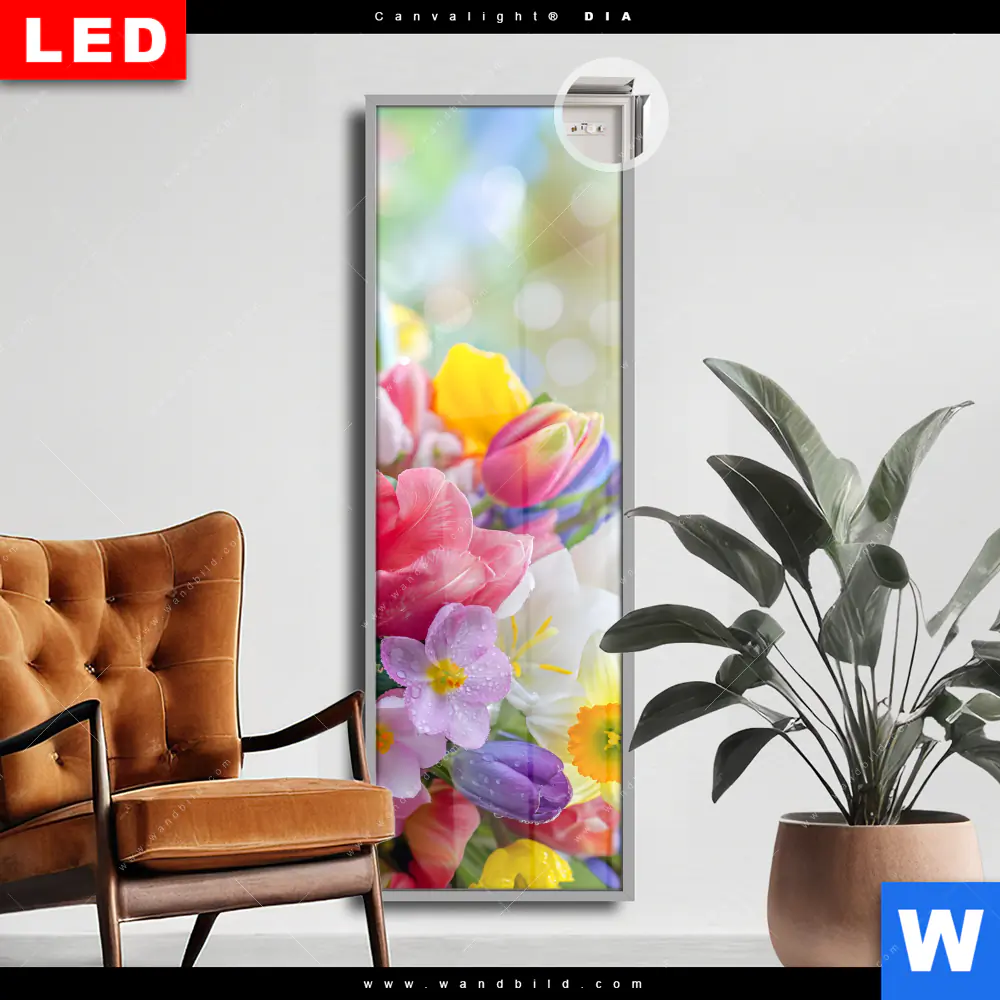 Leuchtbild Acrylglas Canvalight® DIA | Farbenfrohe Frühlingsblüten | Schmal