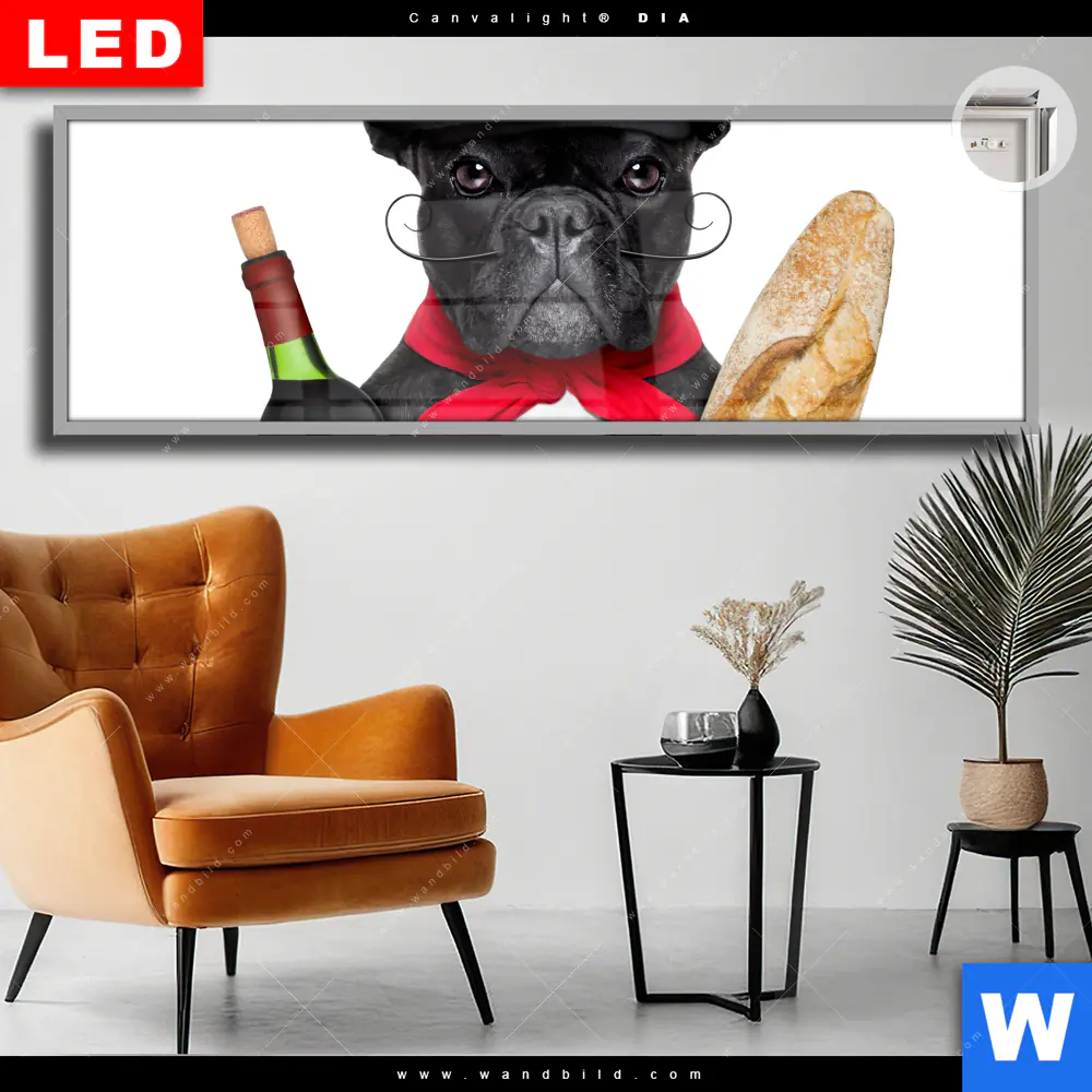 Leuchtbild Acrylglas Canvalight® DIA | Französischer Bulldoggen-Charme mit Baguette & Wein | Panorama