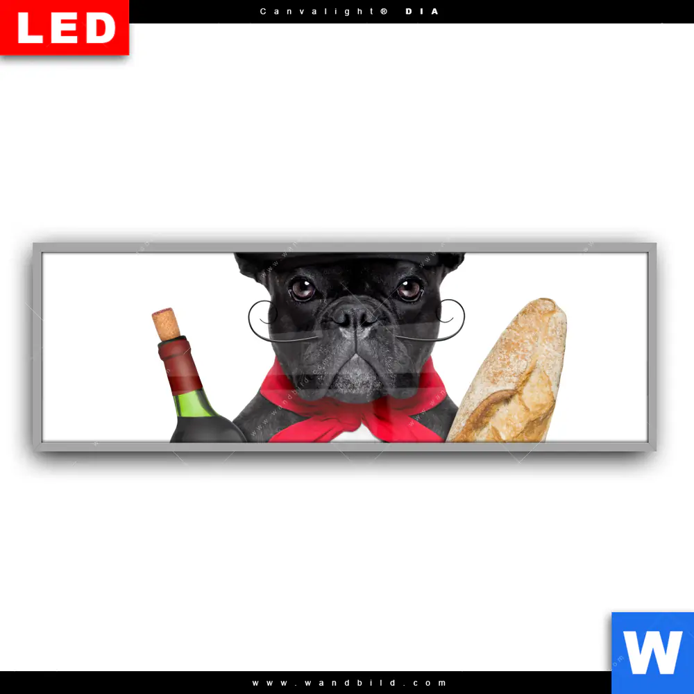 Leuchtbild Acrylglas Canvalight® DIA | Französischer Bulldoggen-Charme mit Baguette & Wein | Panorama - Image 2