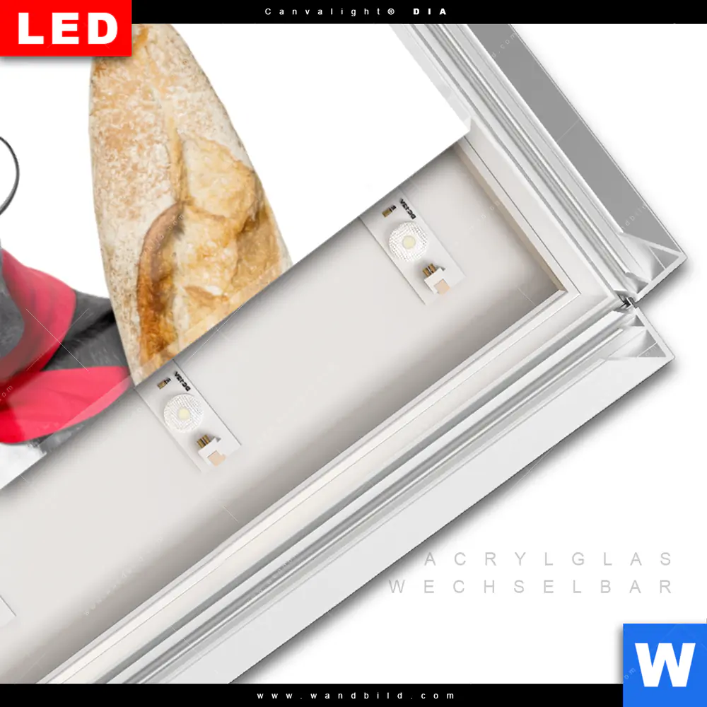 Leuchtbild Acrylglas Canvalight® DIA | Französischer Bulldoggen-Charme mit Baguette & Wein | Panorama - Image 3