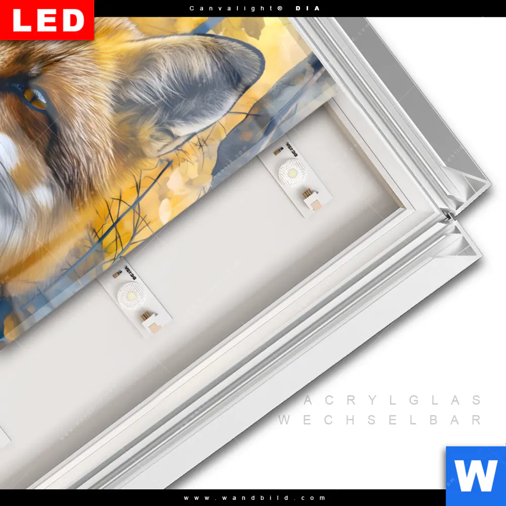 Leuchtbild Acrylglas Canvalight® DIA | Fuchs im Blätterwald | Hochformat - Image 3