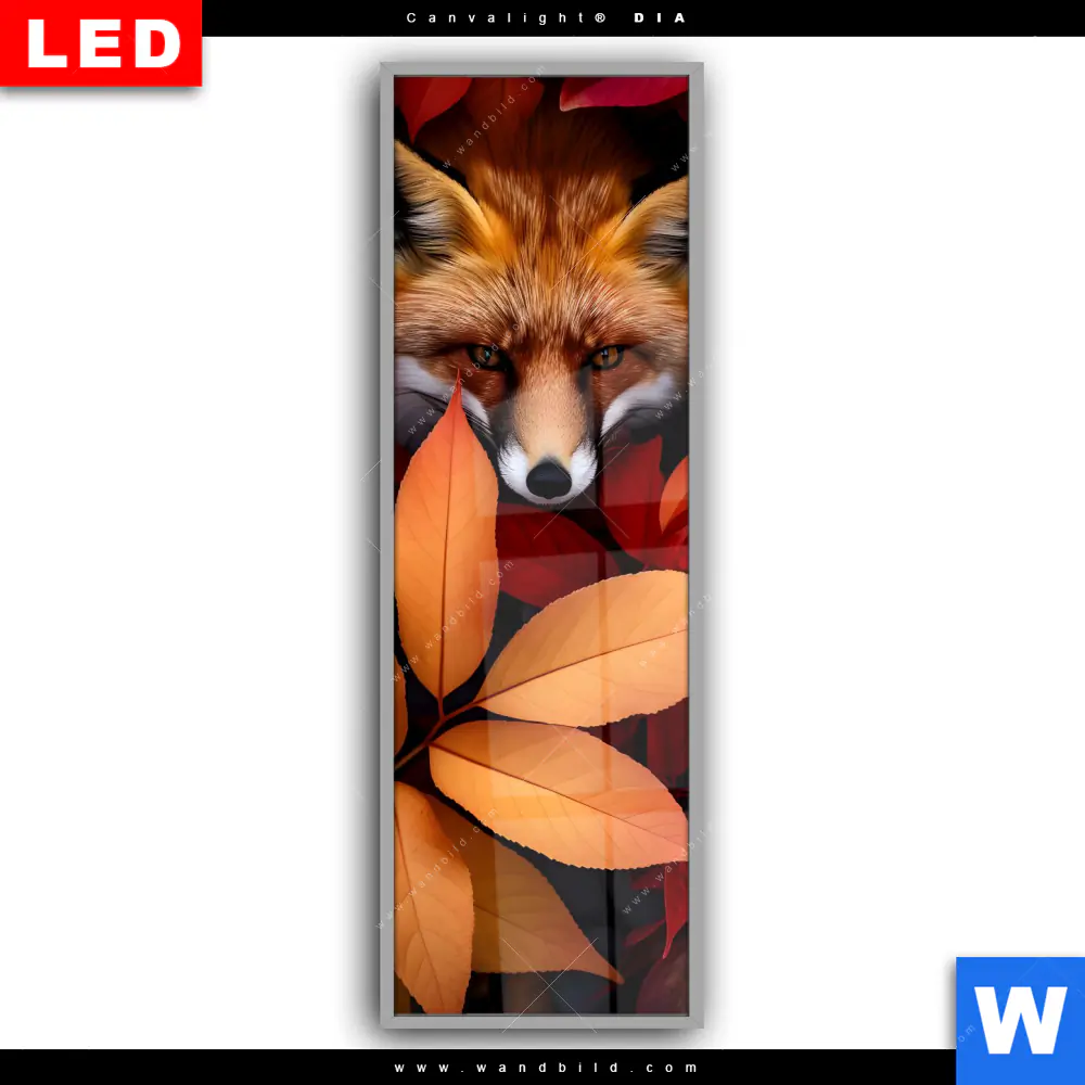 Leuchtbild Acrylglas Canvalight® DIA | Fuchs im Herbstlaub | Schmal - Image 2