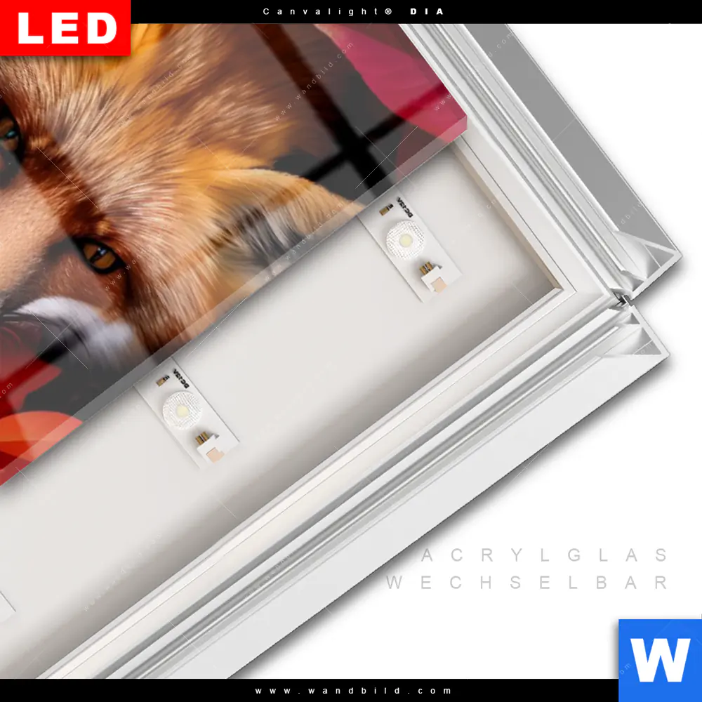 Leuchtbild Acrylglas Canvalight® DIA | Fuchs im Herbstlaub | Schmal - Image 3