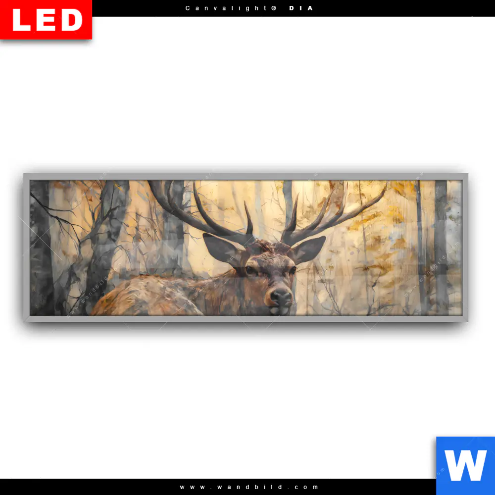 Leuchtbild Acrylglas Canvalight® DIA | Hirsch im Morgenlicht | Panorama - Image 2