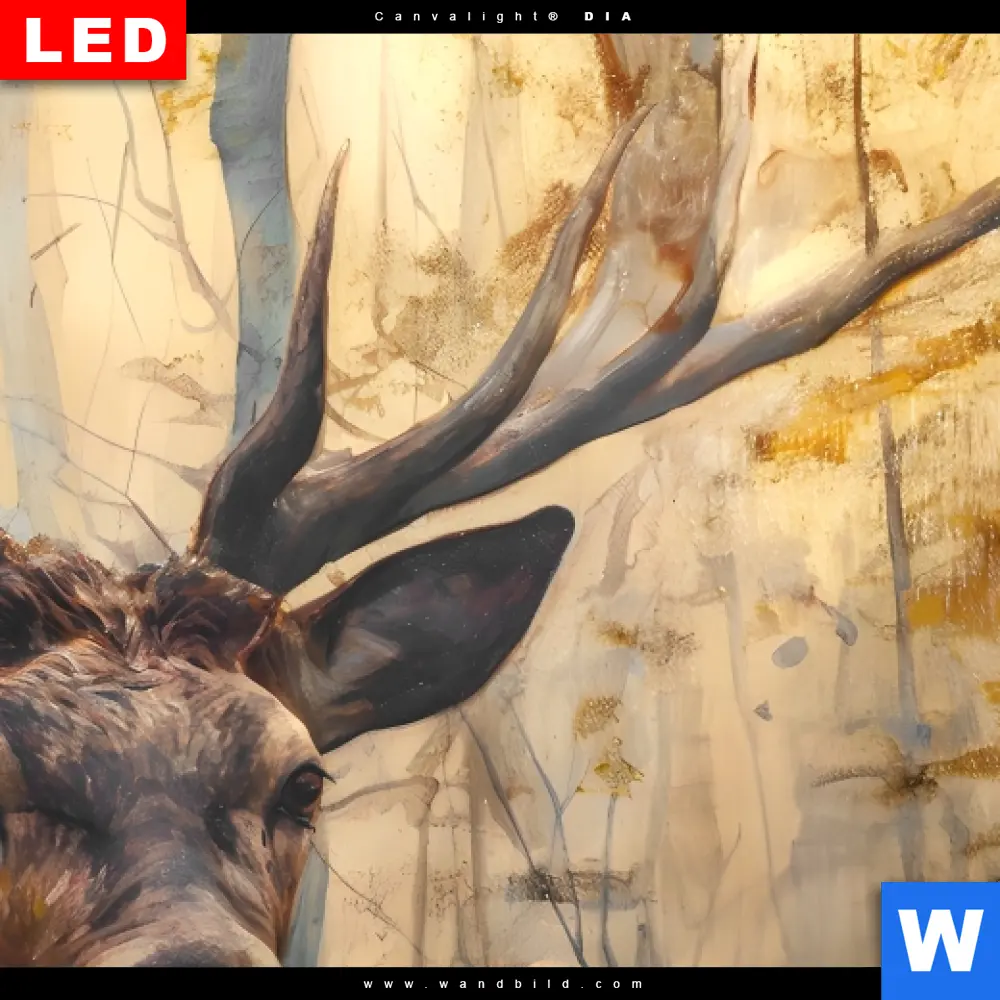 Leuchtbild Acrylglas Canvalight® DIA | Hirsch im Morgenlicht | Panorama - Image 4