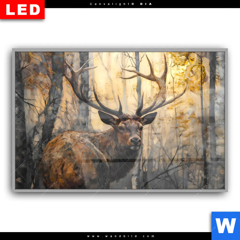 Leuchtbild Acrylglas Canvalight® DIA | Hirsch im Morgenlicht | Querformat - Image 2