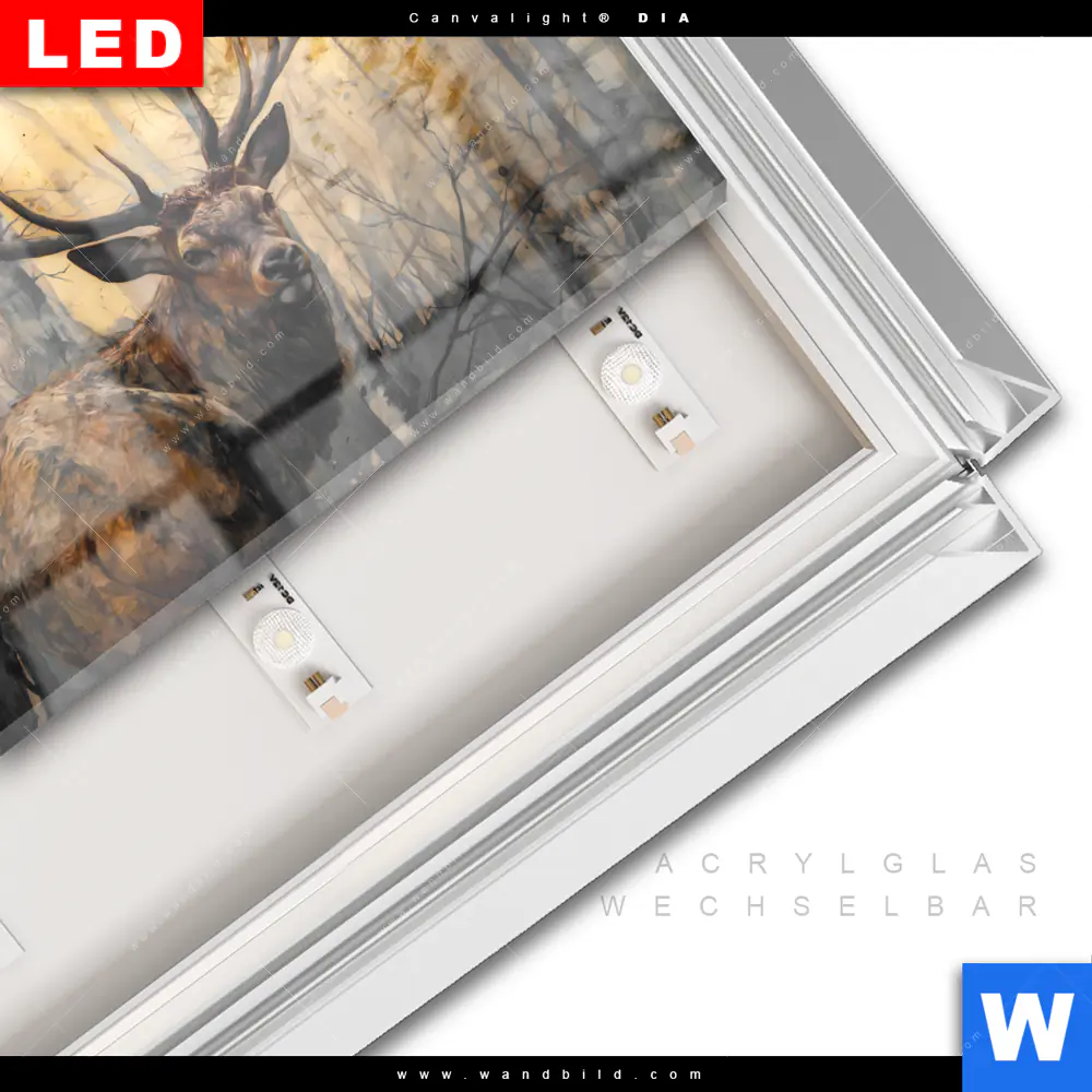 Leuchtbild Acrylglas Canvalight® DIA | Hirsch im Morgenlicht | Querformat - Image 3