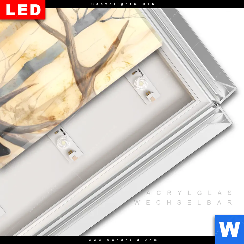 Leuchtbild Acrylglas Canvalight® DIA | Hirsch im Morgenlicht | Schmal - Image 3