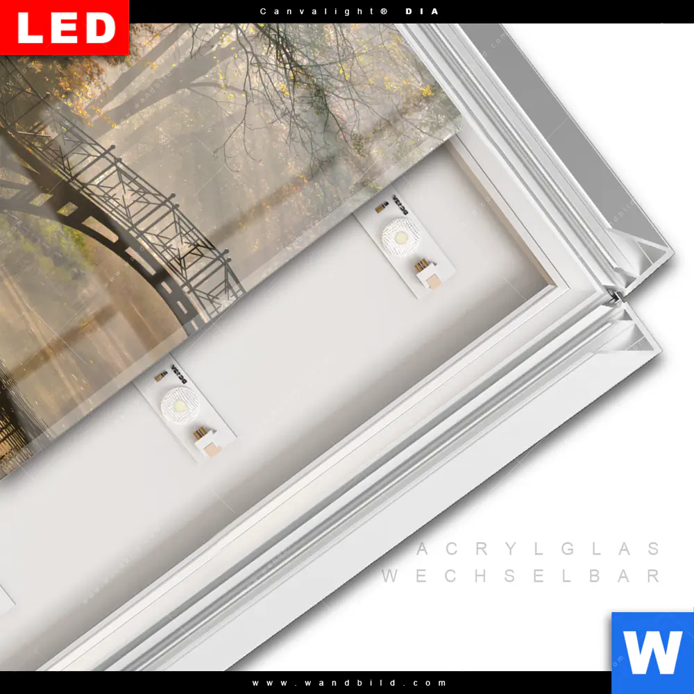 Leuchtbild Acrylglas Canvalight® DIA | Idyllischer Wald mit Brücke | Quadrat - Image 3