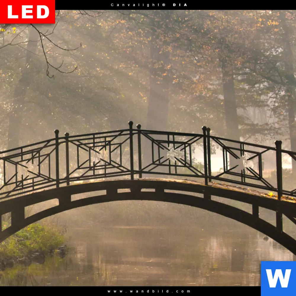 Leuchtbild Acrylglas Canvalight® DIA | Idyllischer Wald mit Brücke | Quadrat - Image 4