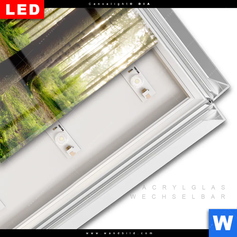 Leuchtbild Acrylglas Canvalight® DIA | Im tiefen Wald | Quadrat - Image 3