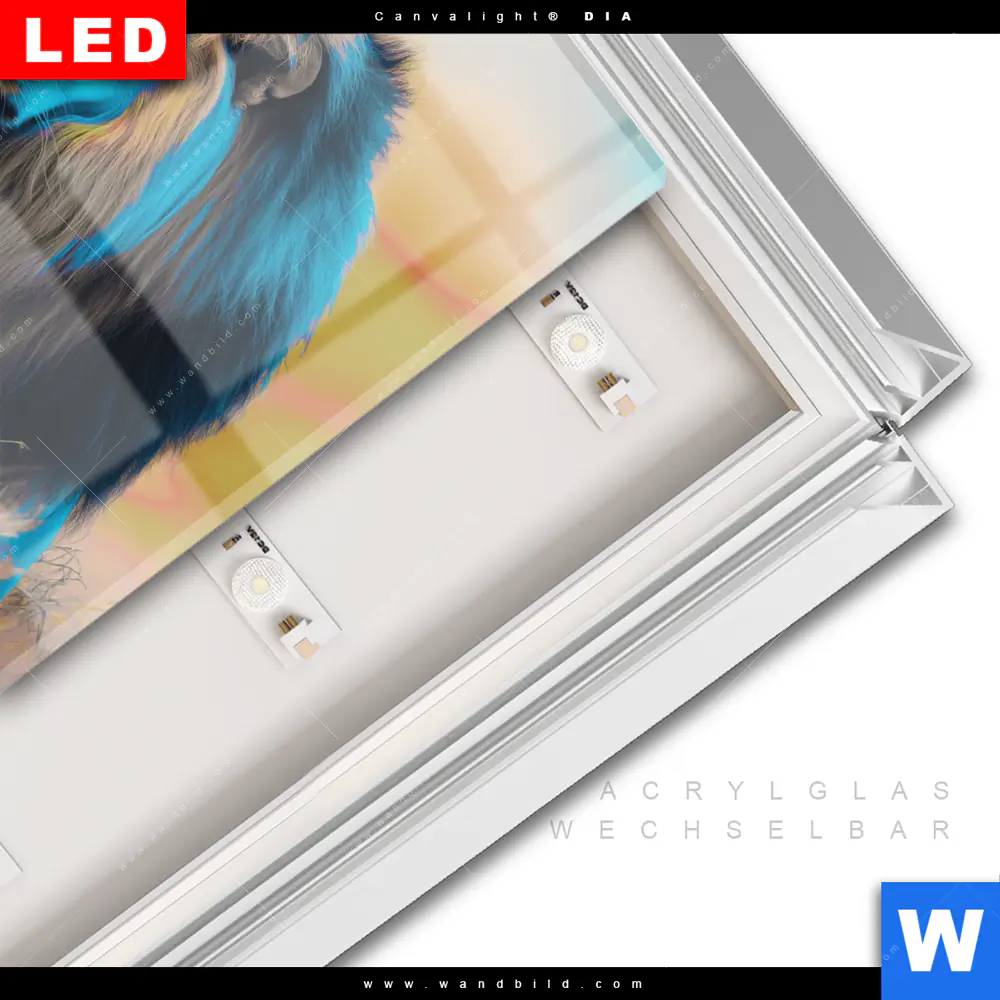 Leuchtbild Acrylglas Canvalight® DIA | Löwe - Farben der Wildnis | Quadrat - Image 3