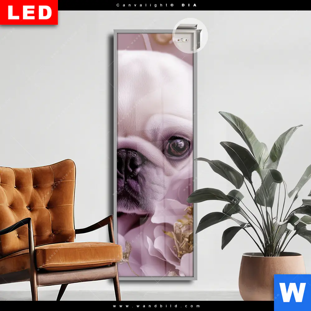 Leuchtbild Acrylglas Canvalight® DIA | Mops im Blütenmeer | Schmal