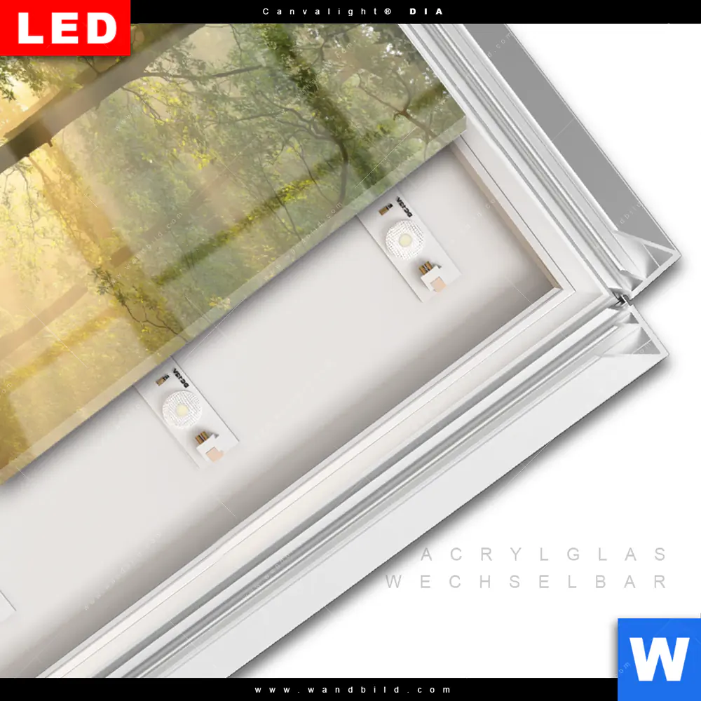 Leuchtbild Acrylglas Canvalight® DIA | Morgenspaziergang im nebeligem Wald | Hochformat - Image 3
