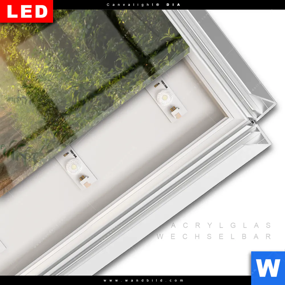Leuchtbild Acrylglas Canvalight® DIA | Morgenspaziergang im nebeligem Wald | Panorama - Image 3