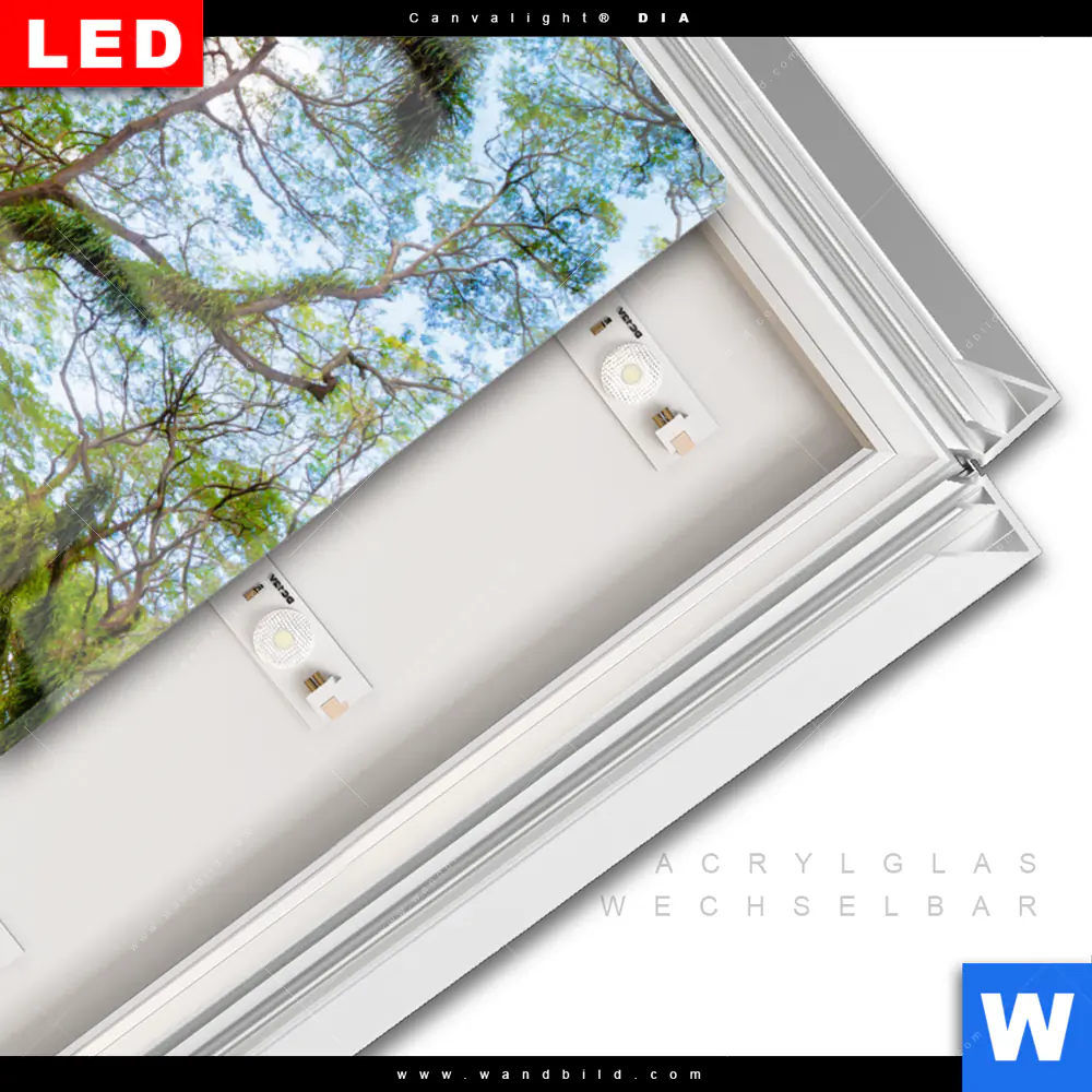 Leuchtbild Acrylglas Canvalight® DIA | Mystischer Wald | Hochformat - Image 3