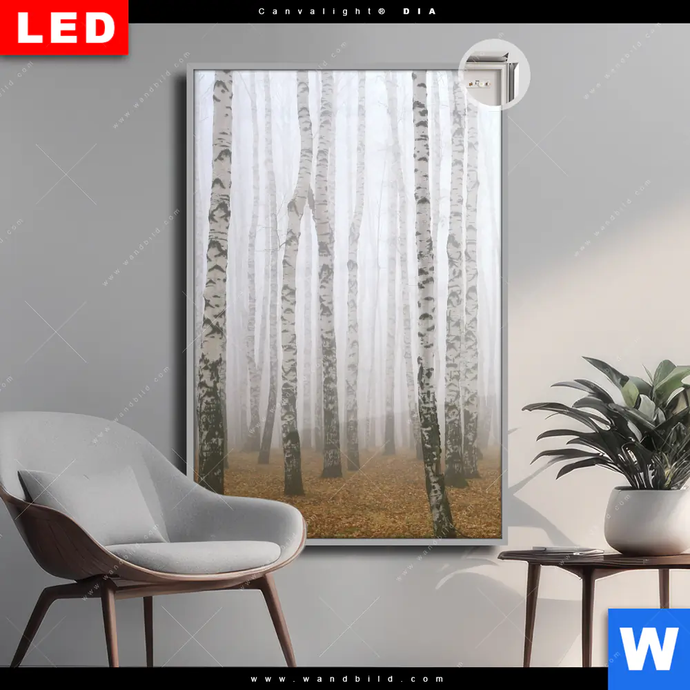 Leuchtbild Acrylglas Canvalight® DIA | Nebel im Birkenwald | Hochformat