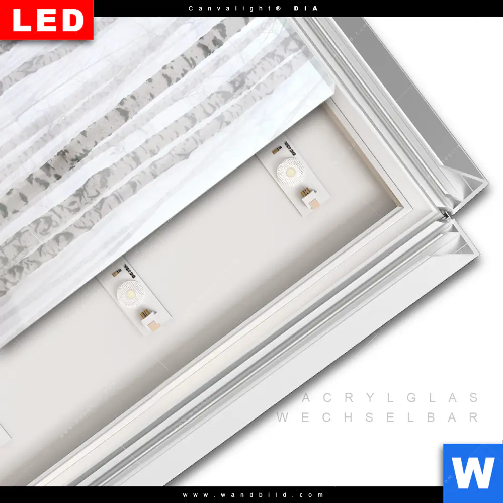 Leuchtbild Acrylglas Canvalight® DIA | Nebel im Birkenwald | Hochformat - Image 3