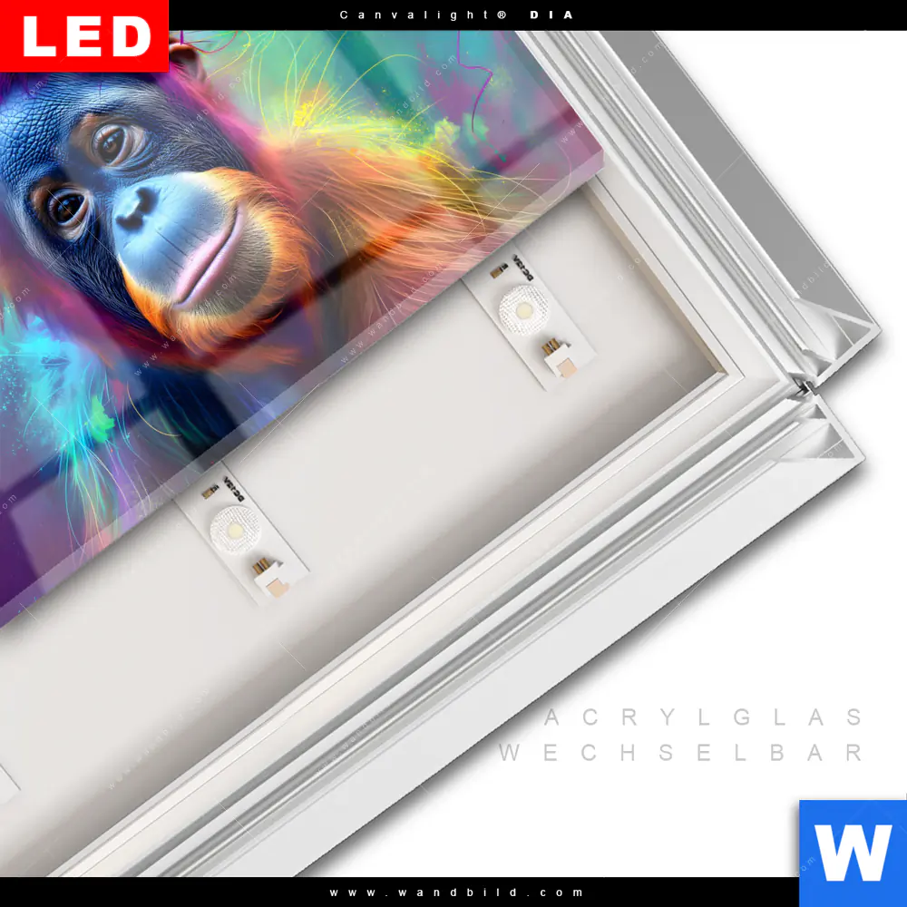 Leuchtbild Acrylglas Canvalight® DIA | Orang-Utan in Regenbogenfarben | Querformat - Image 3