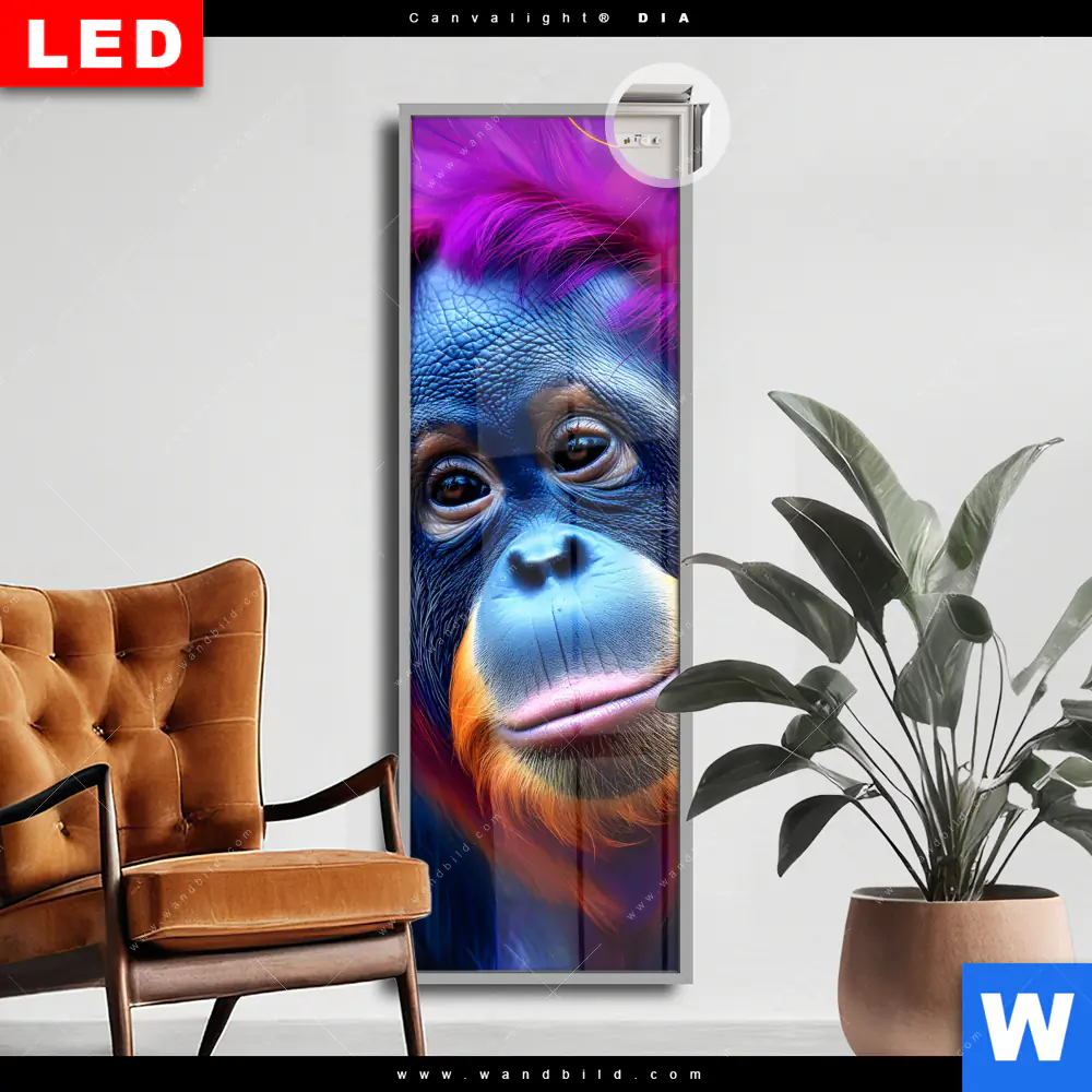 Leuchtbild Acrylglas Canvalight® DIA | Orang-Utan in Regenbogenfarben | Schmal