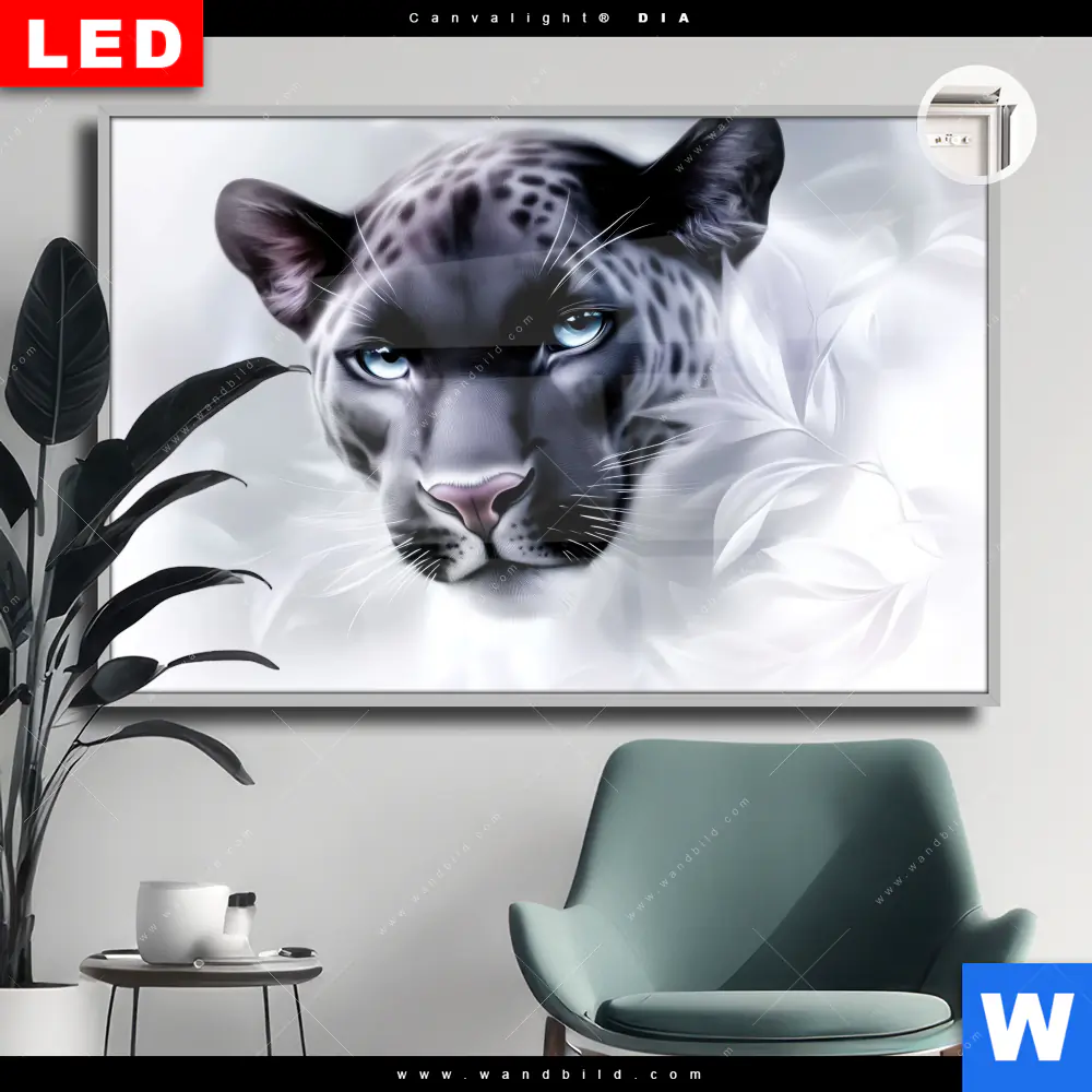 Leuchtbild Acrylglas Canvalight® DIA | Panther - Blick der Wildnis | Querformat