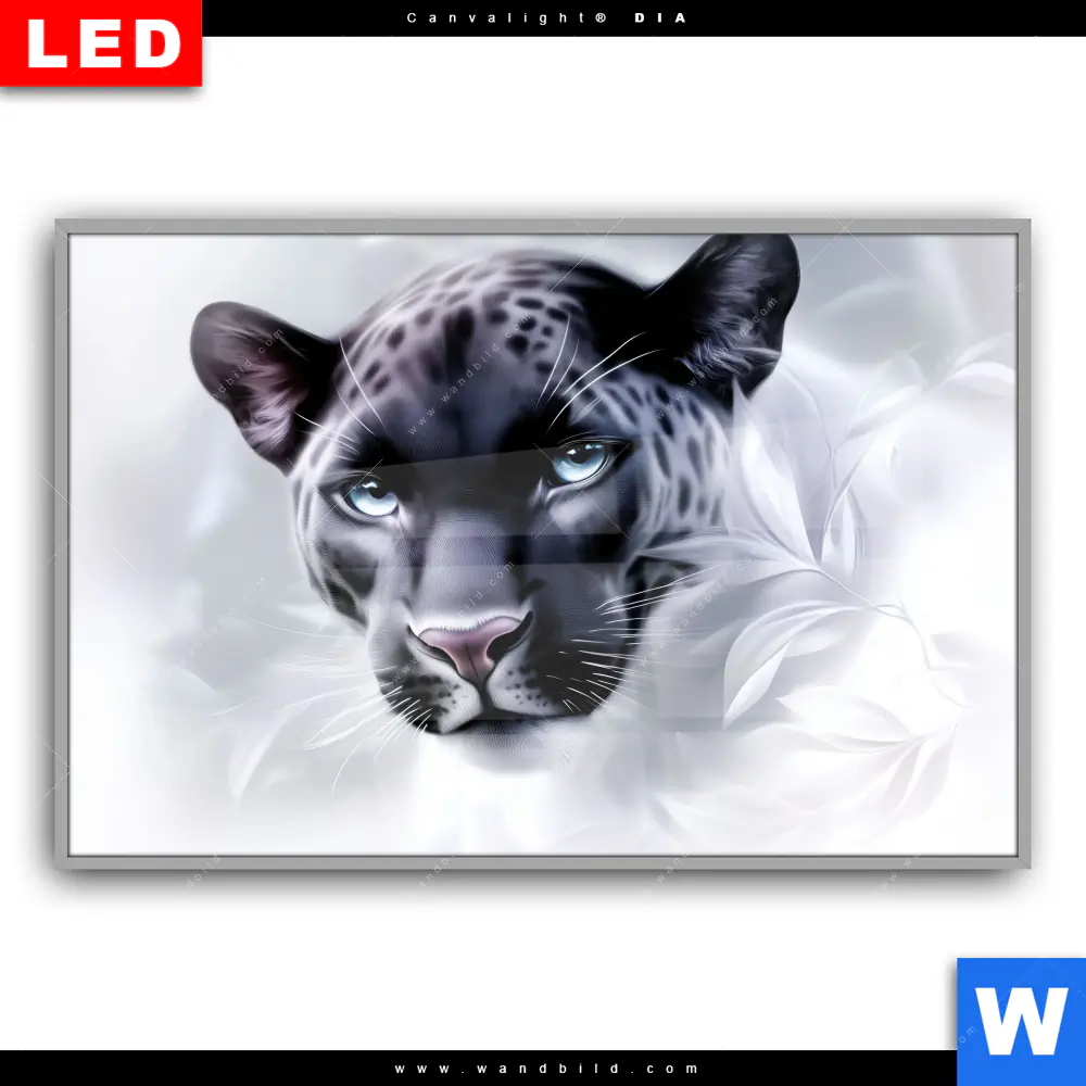 Leuchtbild Acrylglas Canvalight® DIA | Panther - Blick der Wildnis | Querformat - Image 2