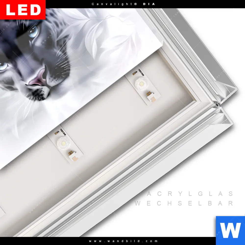 Leuchtbild Acrylglas Canvalight® DIA | Panther - Blick der Wildnis | Querformat - Image 3