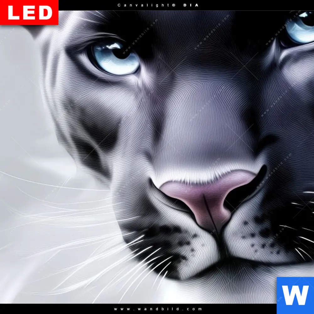 Leuchtbild Acrylglas Canvalight® DIA | Panther - Blick der Wildnis | Querformat - Image 4