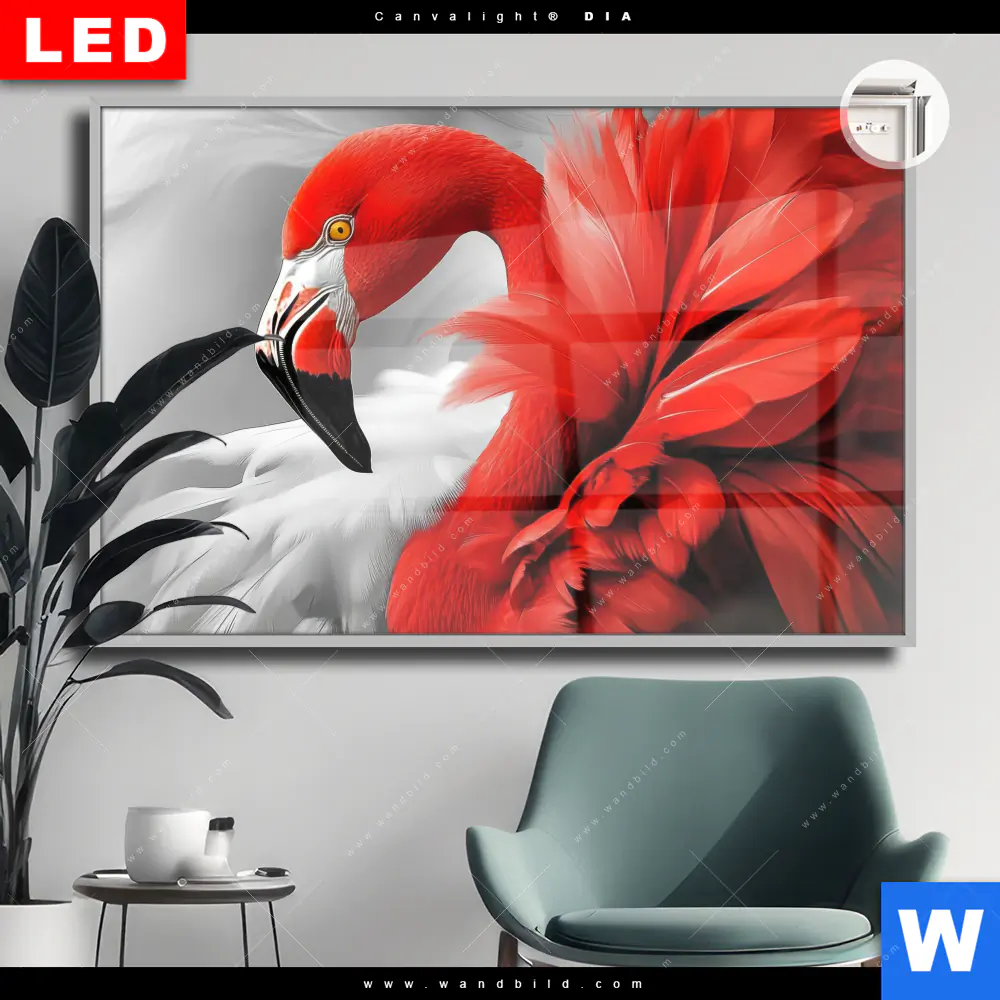 Leuchtbild Acrylglas Canvalight® DIA | Roter Flamingo | Querformat
