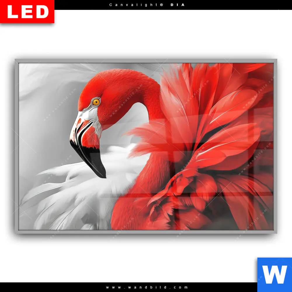 Leuchtbild Acrylglas Canvalight® DIA | Roter Flamingo | Querformat - Image 2
