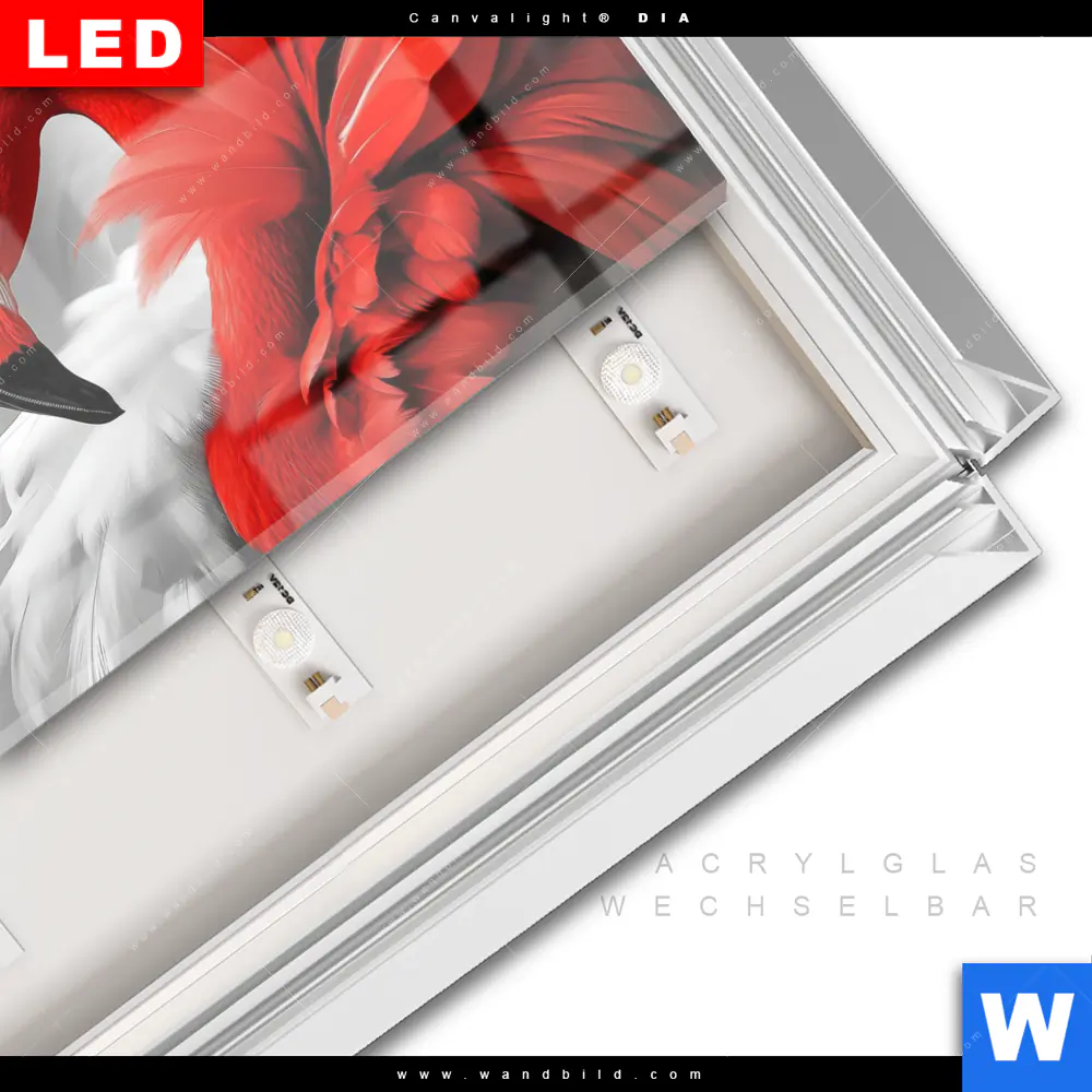 Leuchtbild Acrylglas Canvalight® DIA | Roter Flamingo | Querformat - Image 3