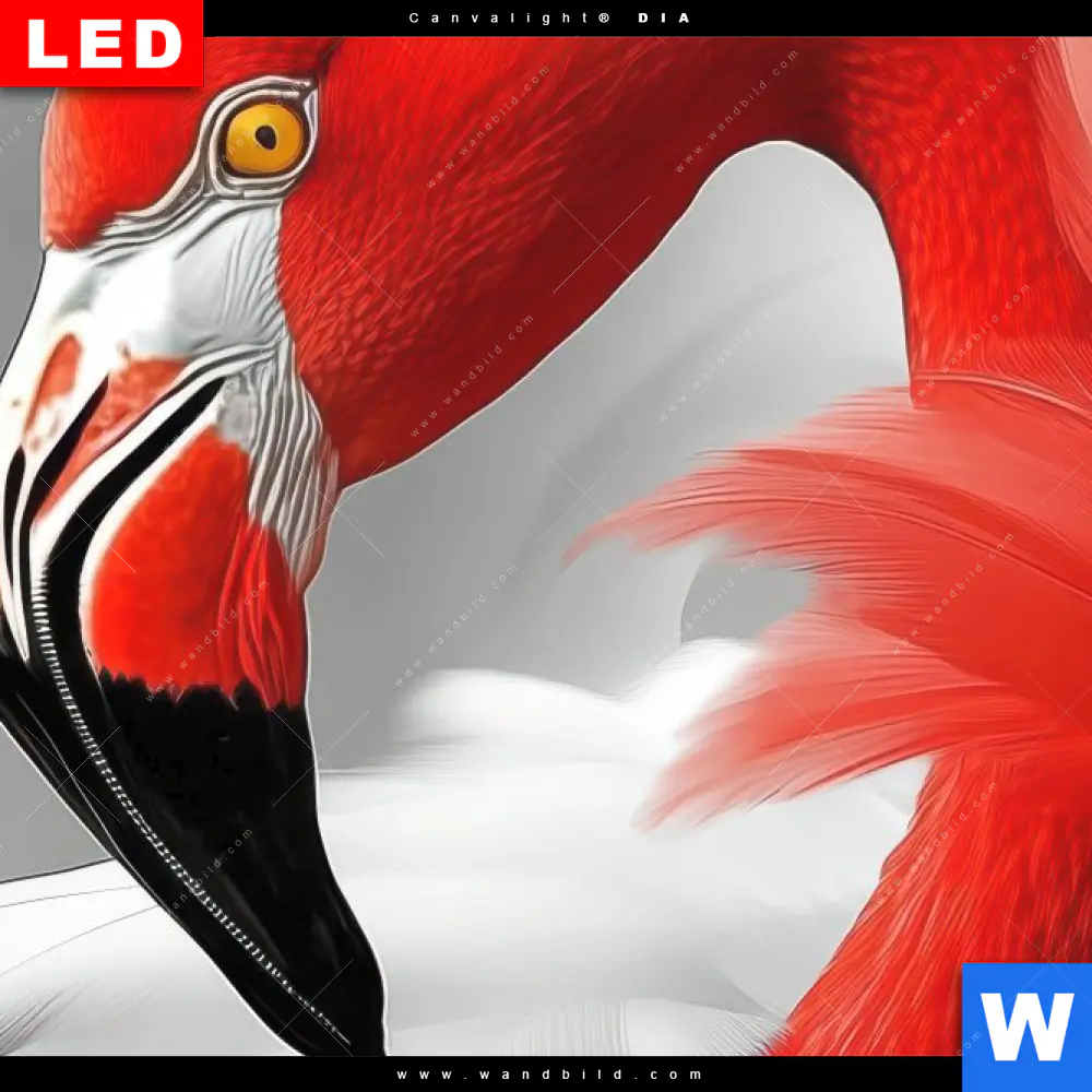 Leuchtbild Acrylglas Canvalight® DIA | Roter Flamingo | Querformat - Image 4