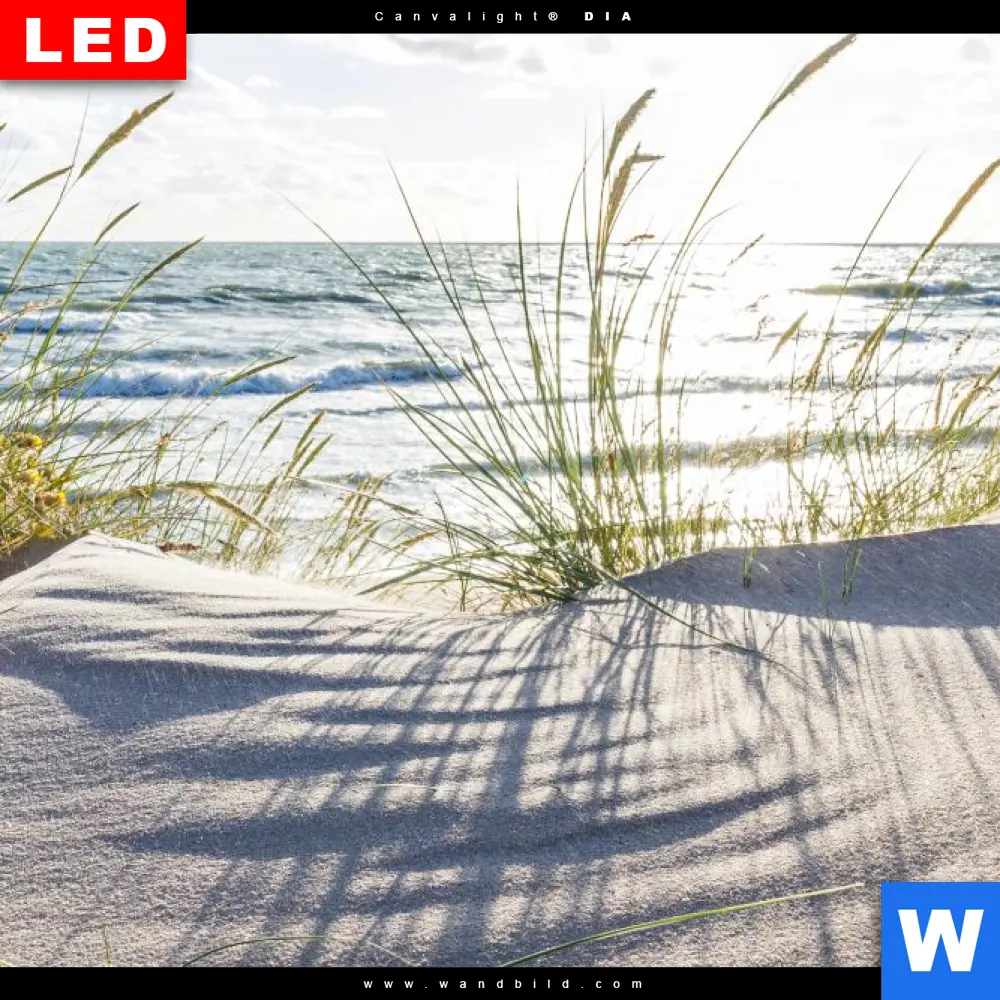 Leuchtbild Acrylglas Canvalight® DIA | Sandstrand und Düne | Schmal - Image 4