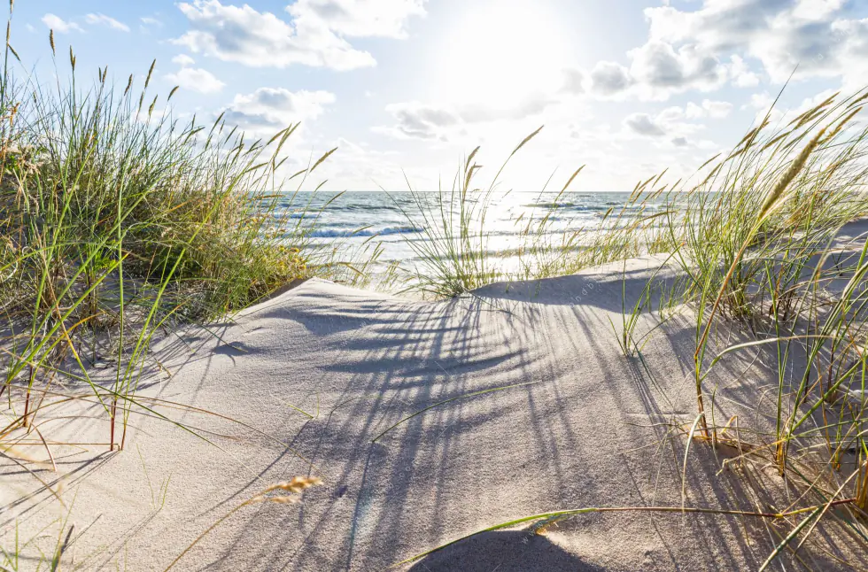 Leuchtbild Acrylglas Canvalight® DIA | Sandstrand und Düne | Schmal - Image 5