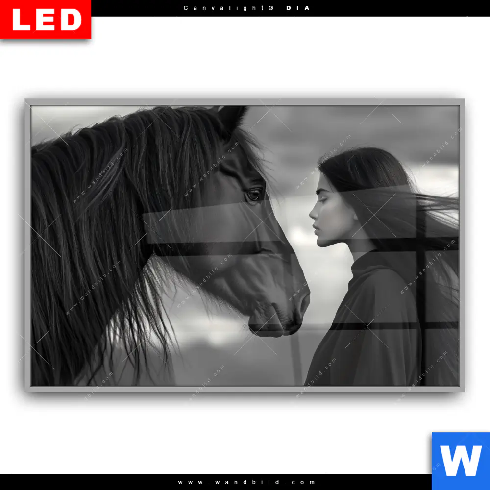 Leuchtbild Acrylglas Canvalight® DIA | Seelenblick | Querformat - Image 2