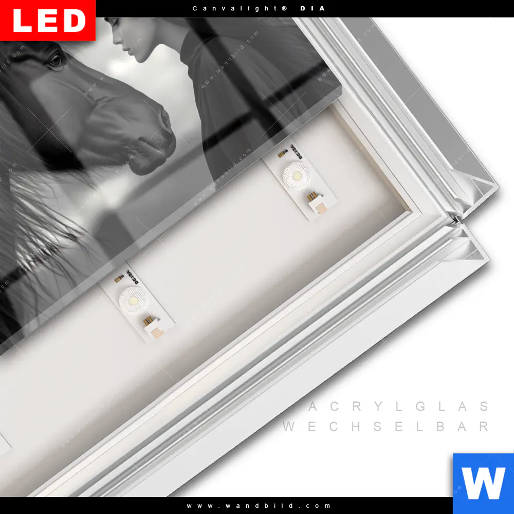 Leuchtbild Acrylglas Canvalight® DIA | Seelenblick | Querformat - Image 3