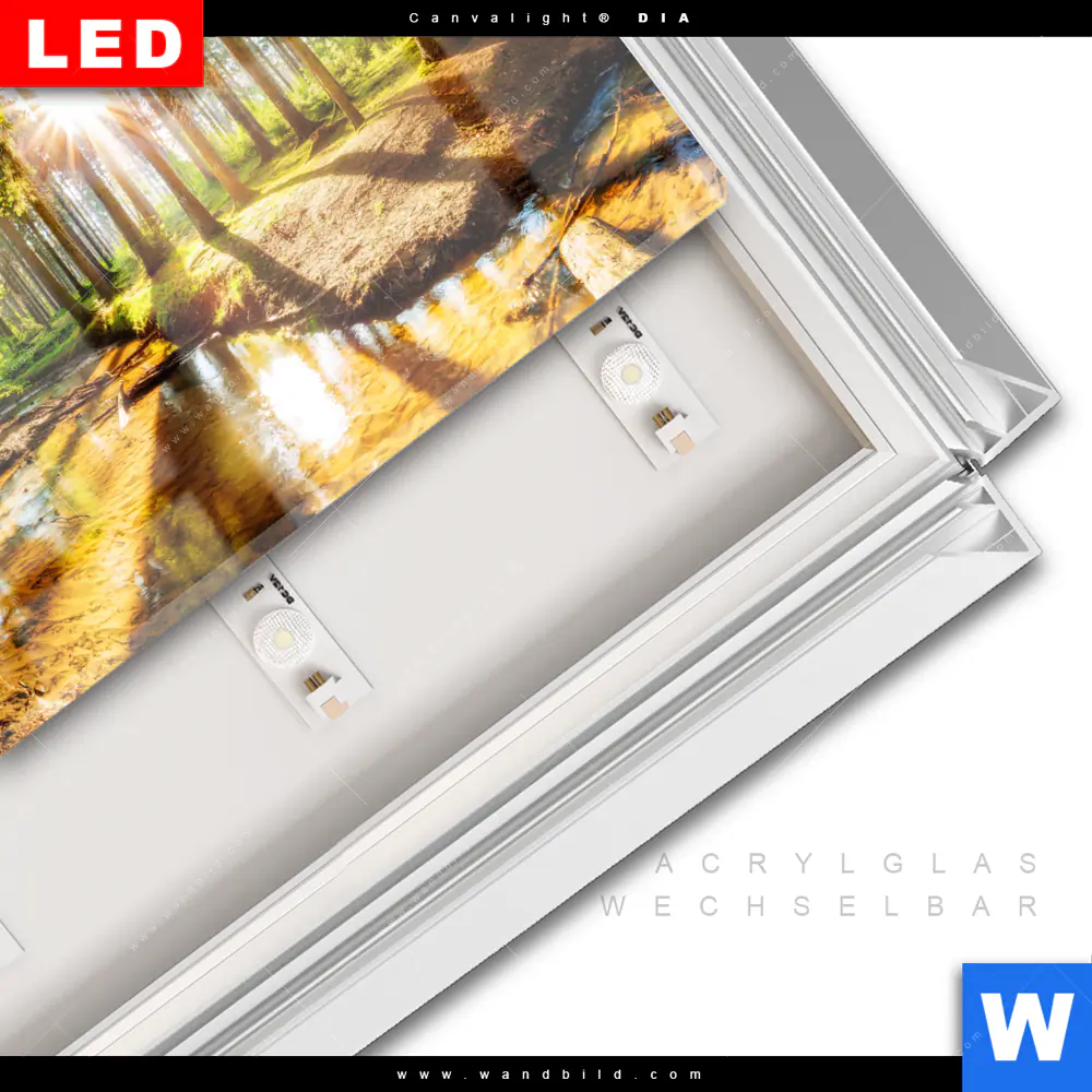 Leuchtbild Acrylglas Canvalight® DIA | Sonniger Wald | Querformat - Image 3