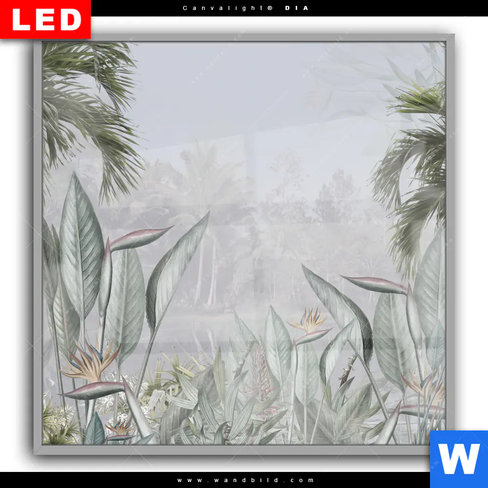 Leuchtbild Acrylglas Canvalight® DIA | Tropische Bäume und Blätter | Quadrat - Image 2