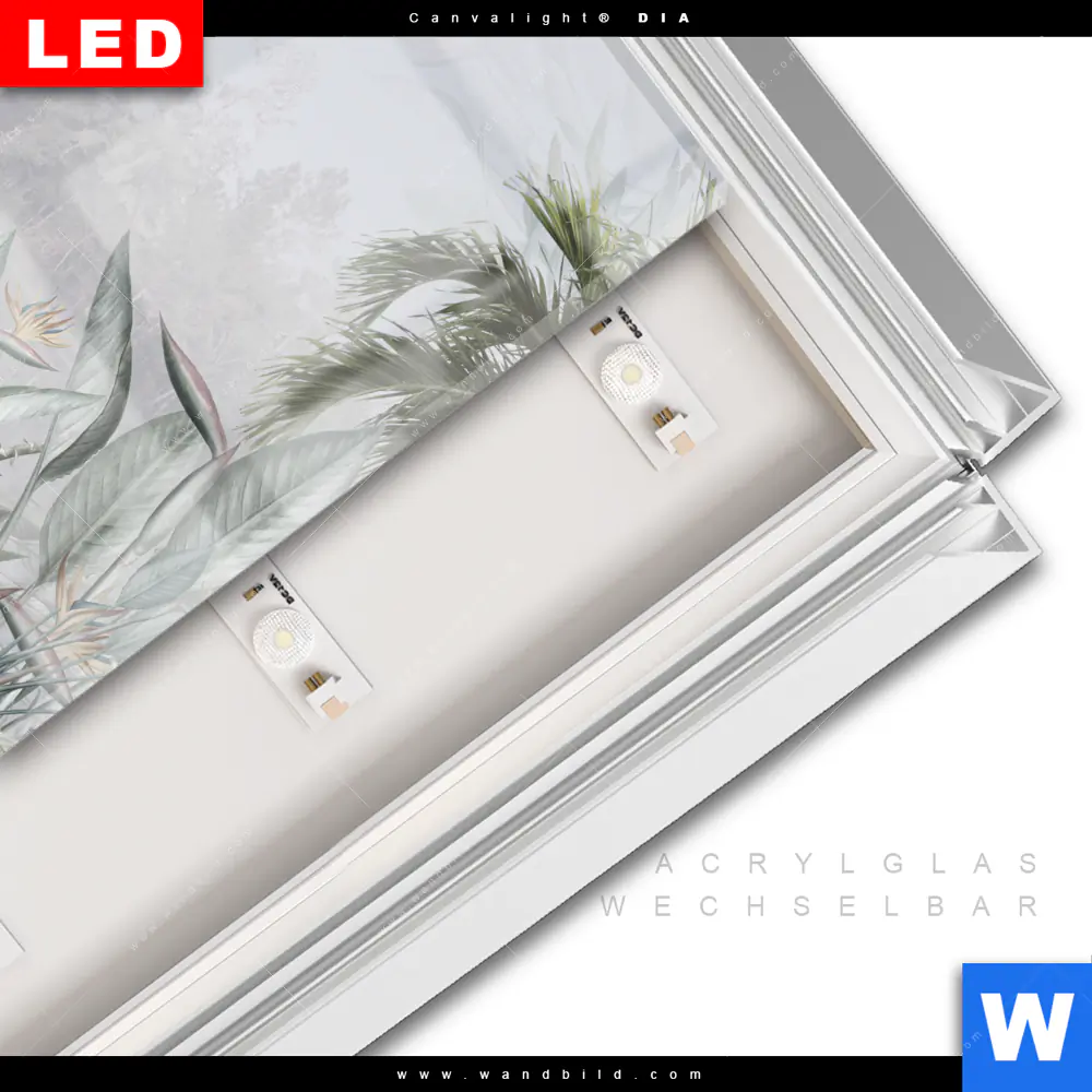 Leuchtbild Acrylglas Canvalight® DIA | Tropische Bäume und Blätter | Quadrat - Image 3