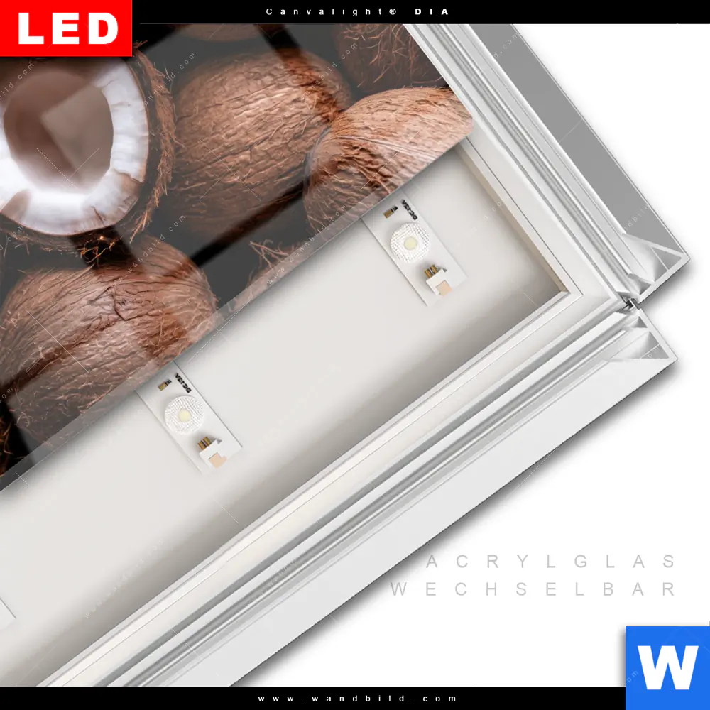 Leuchtbild Acrylglas Canvalight® DIA | Tropische Kokosnüsse – Exotischer Genuss | Quadrat - Image 3