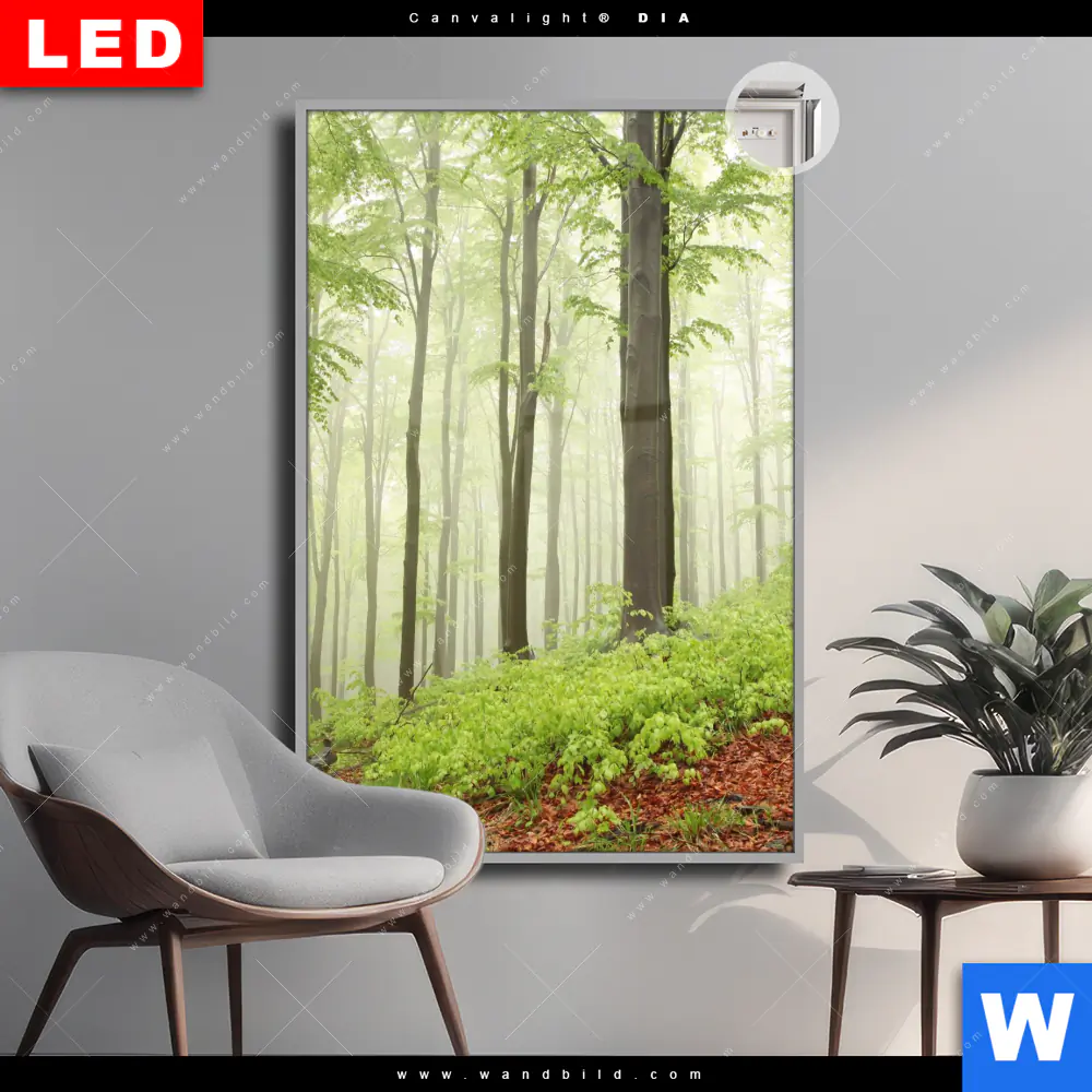 Leuchtbild Acrylglas Canvalight® DIA | Unberührte Natur - Der Wald | Hochformat
