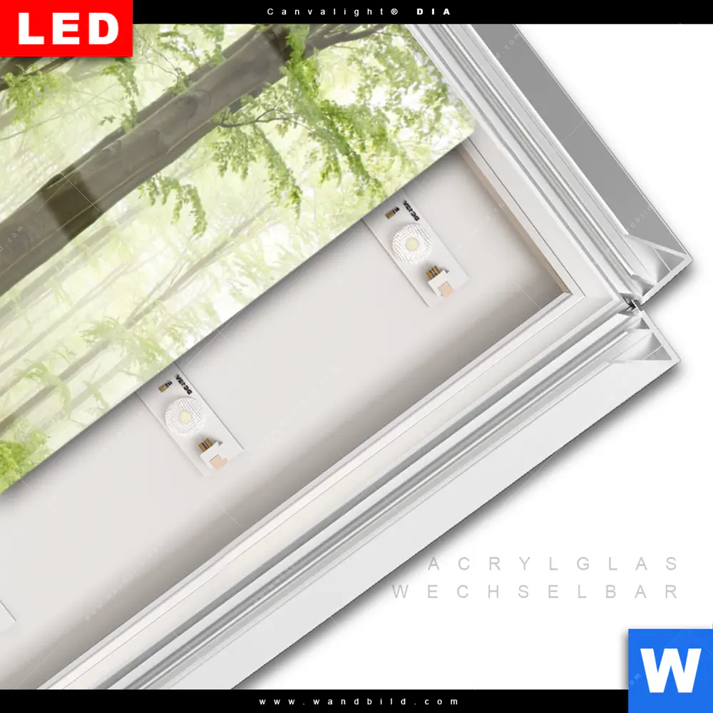 Leuchtbild Acrylglas Canvalight® DIA | Unberührte Natur - Der Wald | Hochformat - Image 3
