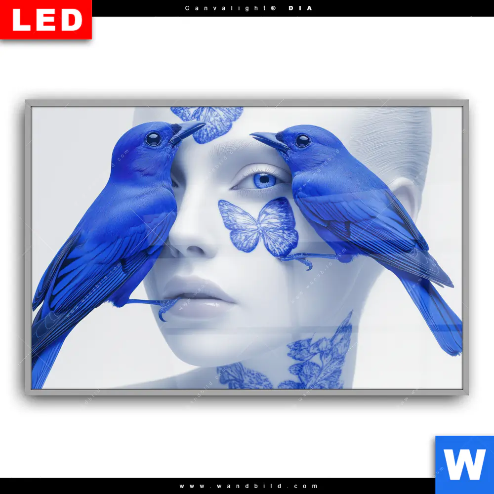 Leuchtbild Acrylglas Canvalight® DIA | Vogelfreunde | Querformat - Image 2