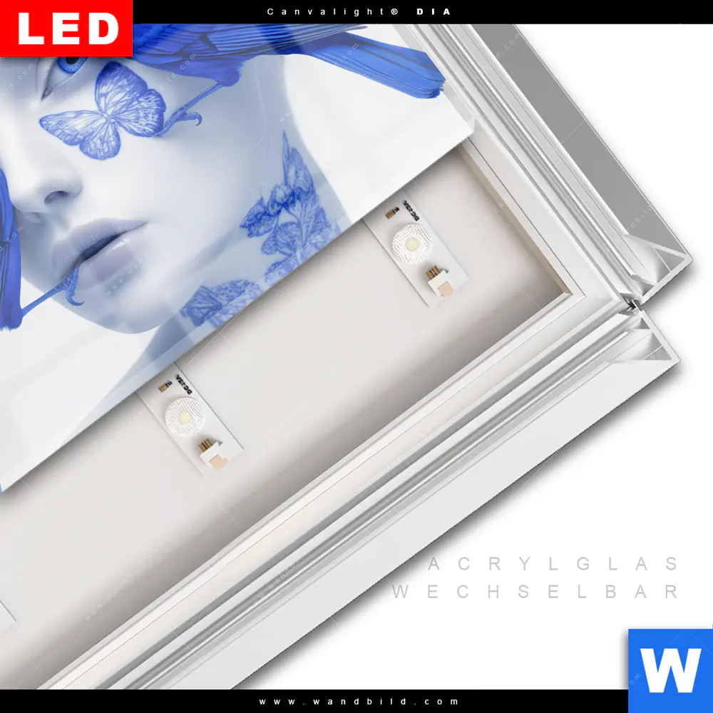 Leuchtbild Acrylglas Canvalight® DIA | Vogelfreunde | Querformat - Image 3