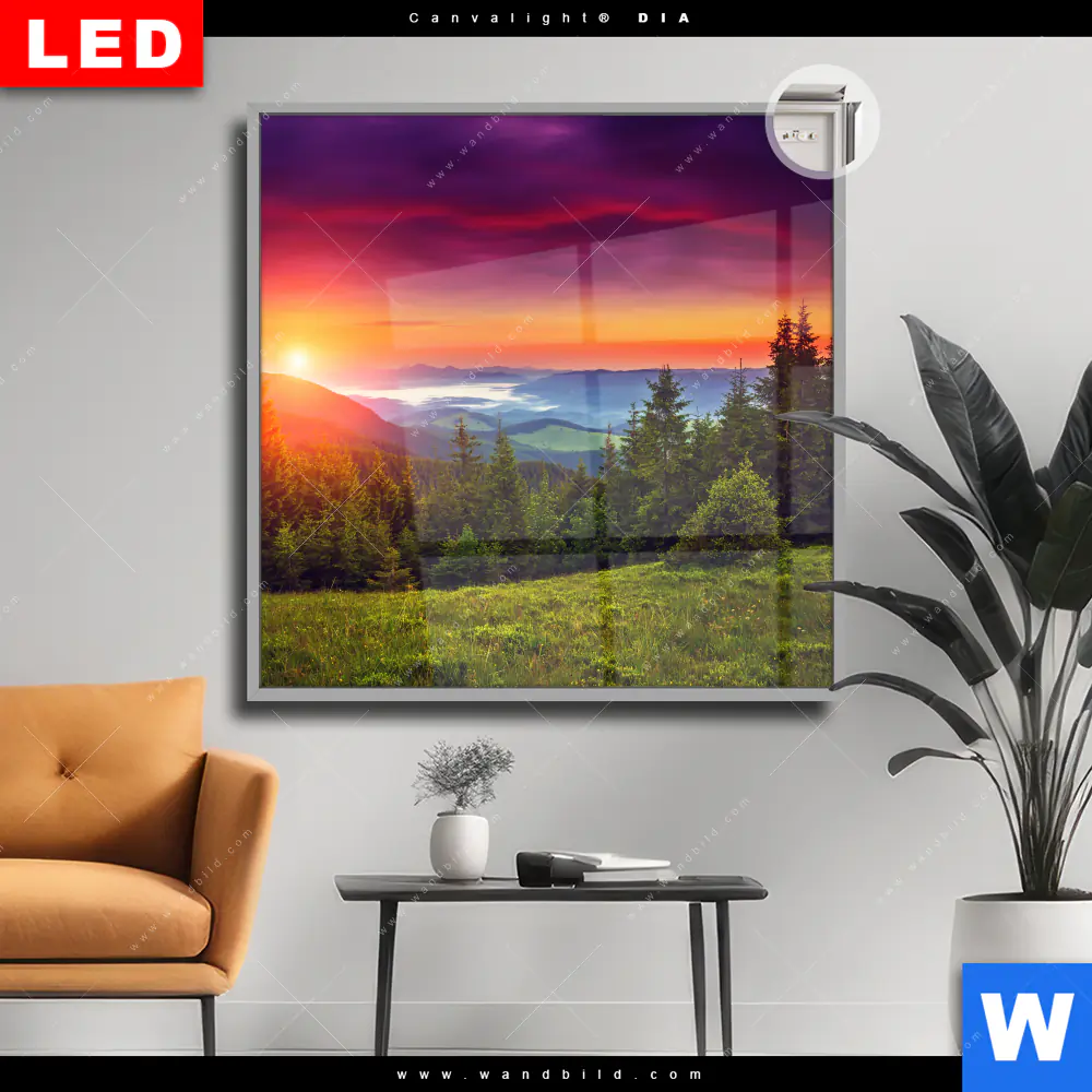 Leuchtbild Acrylglas Canvalight® DIA | Wald bei Sonnenuntergang | Quadrat