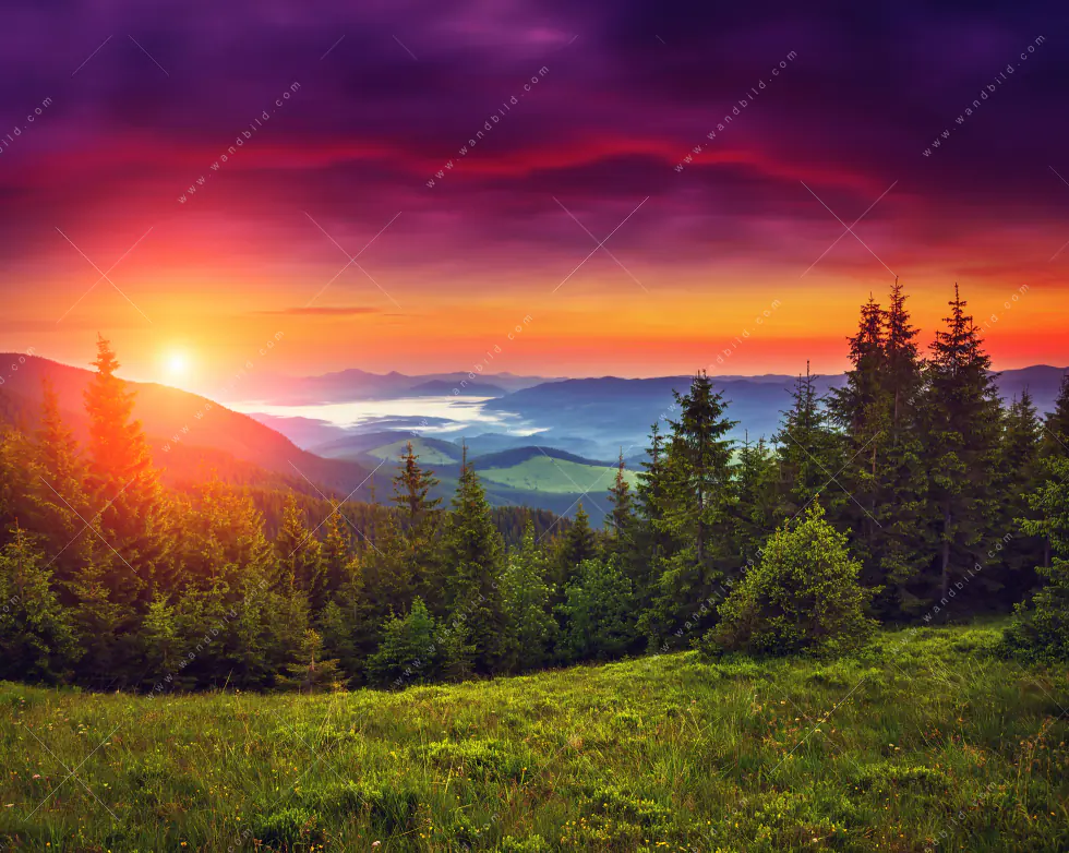 Leuchtbild Acrylglas Canvalight® DIA | Wald bei Sonnenuntergang | Quadrat - Image 5
