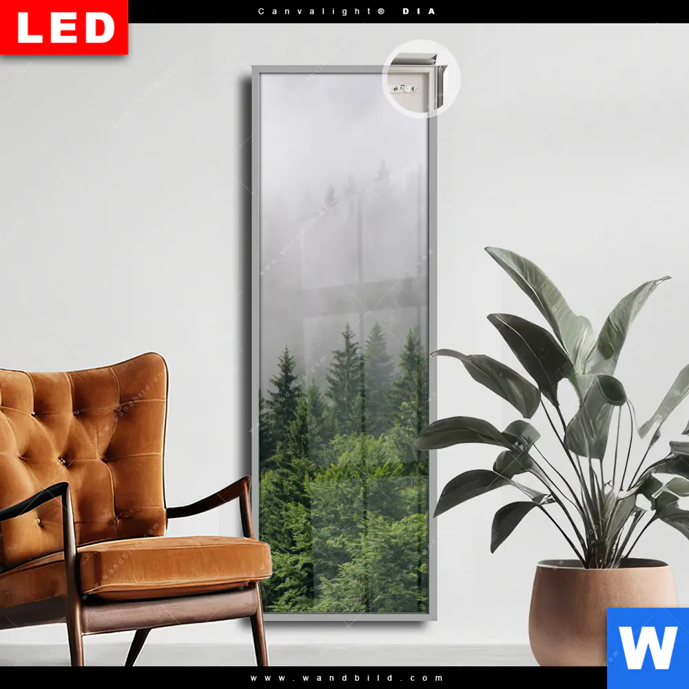 Leuchtbild Acrylglas Canvalight® DIA | Wald im Nebel | Schmal