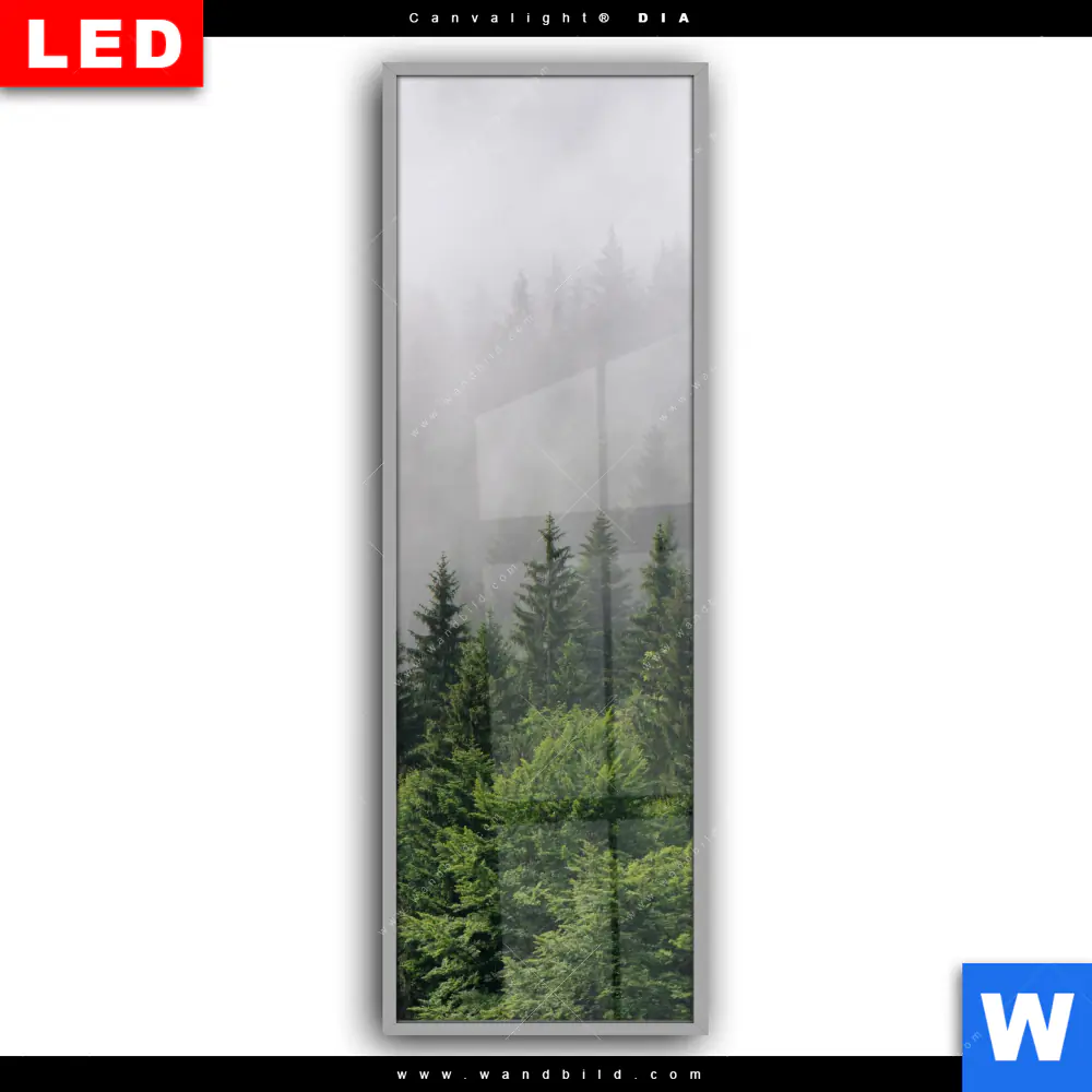 Leuchtbild Acrylglas Canvalight® DIA | Wald im Nebel | Schmal - Image 2