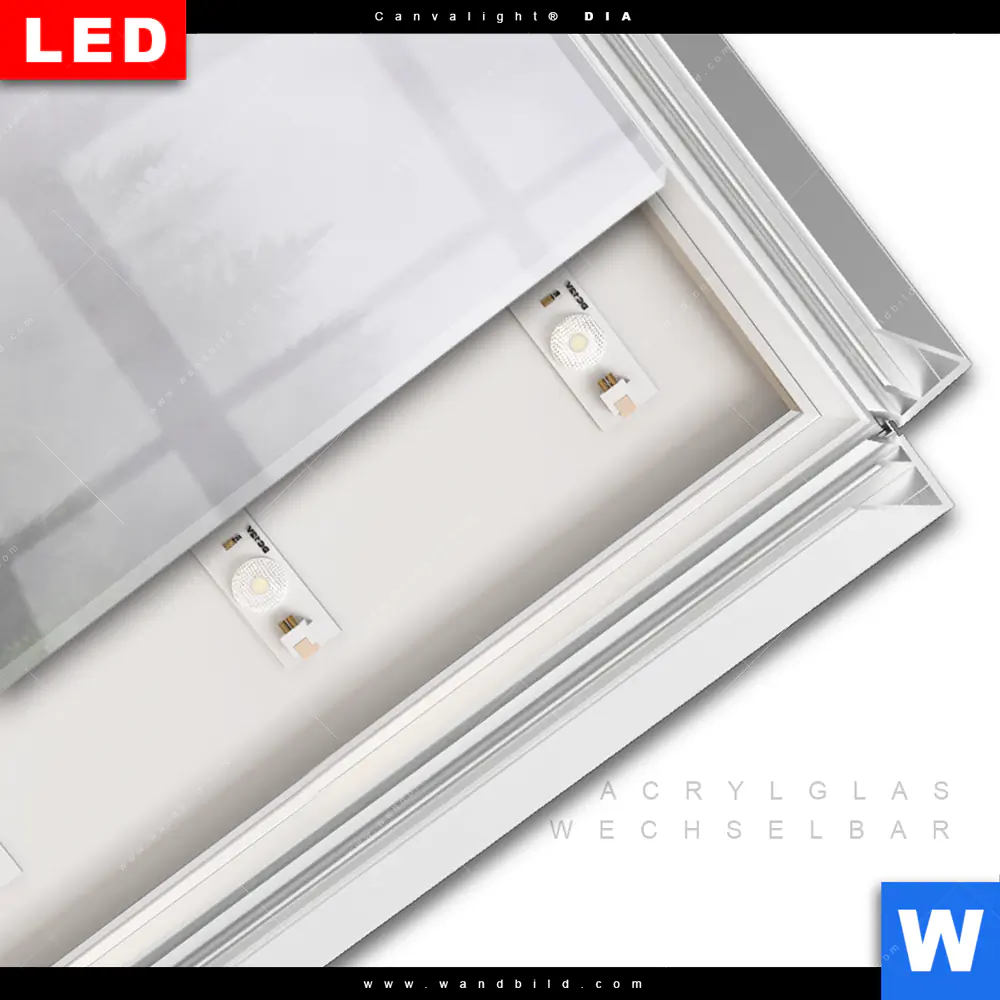 Leuchtbild Acrylglas Canvalight® DIA | Wald im Nebel | Schmal - Image 3