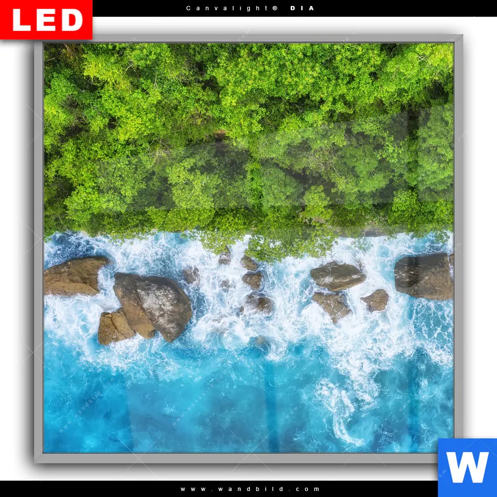 Leuchtbild Acrylglas Canvalight® DIA | Wald & Meer | Quadrat - Image 2